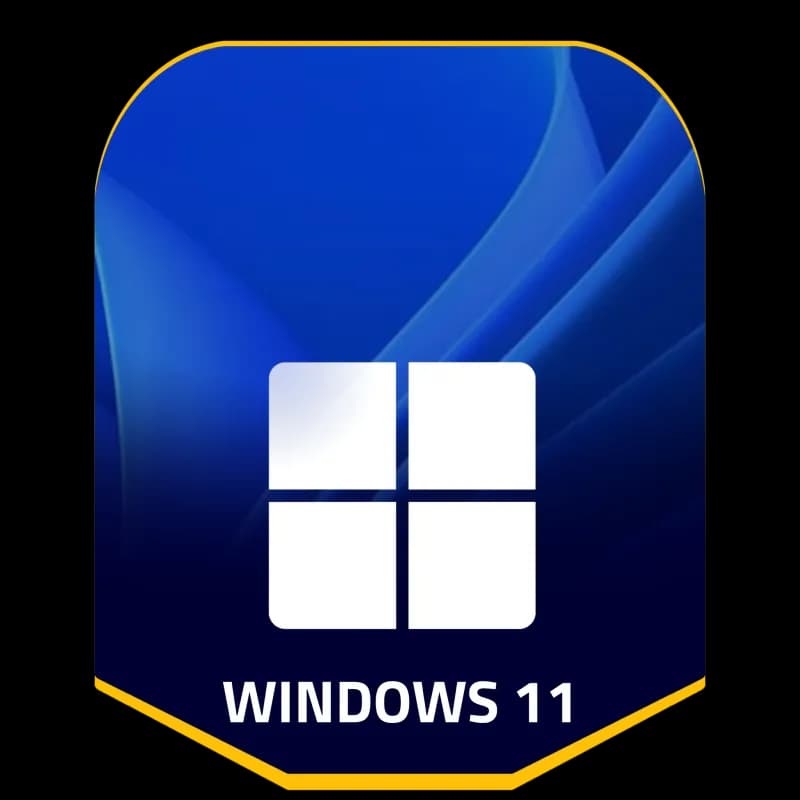 Windows 11